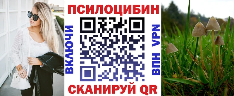 Купить где  Духовщина  Галлюциногенные грибы Magic Shrooms 